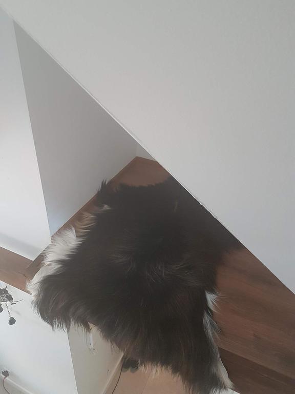 Apartament Palisander Kościelisko Dış mekan fotoğraf