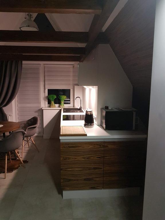 Apartament Palisander Kościelisko Dış mekan fotoğraf