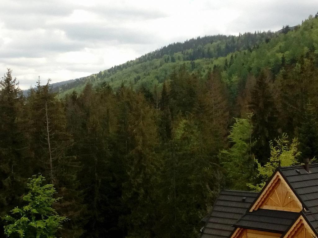Apartament Palisander Kościelisko Dış mekan fotoğraf