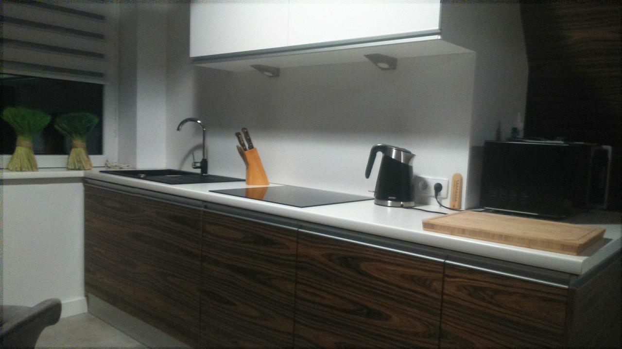Apartament Palisander Kościelisko Dış mekan fotoğraf